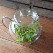 SIMAX GLASS TEA POT ガラスティーポット