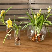 Glass Flower vase デイリーに使えるフラワーベース
