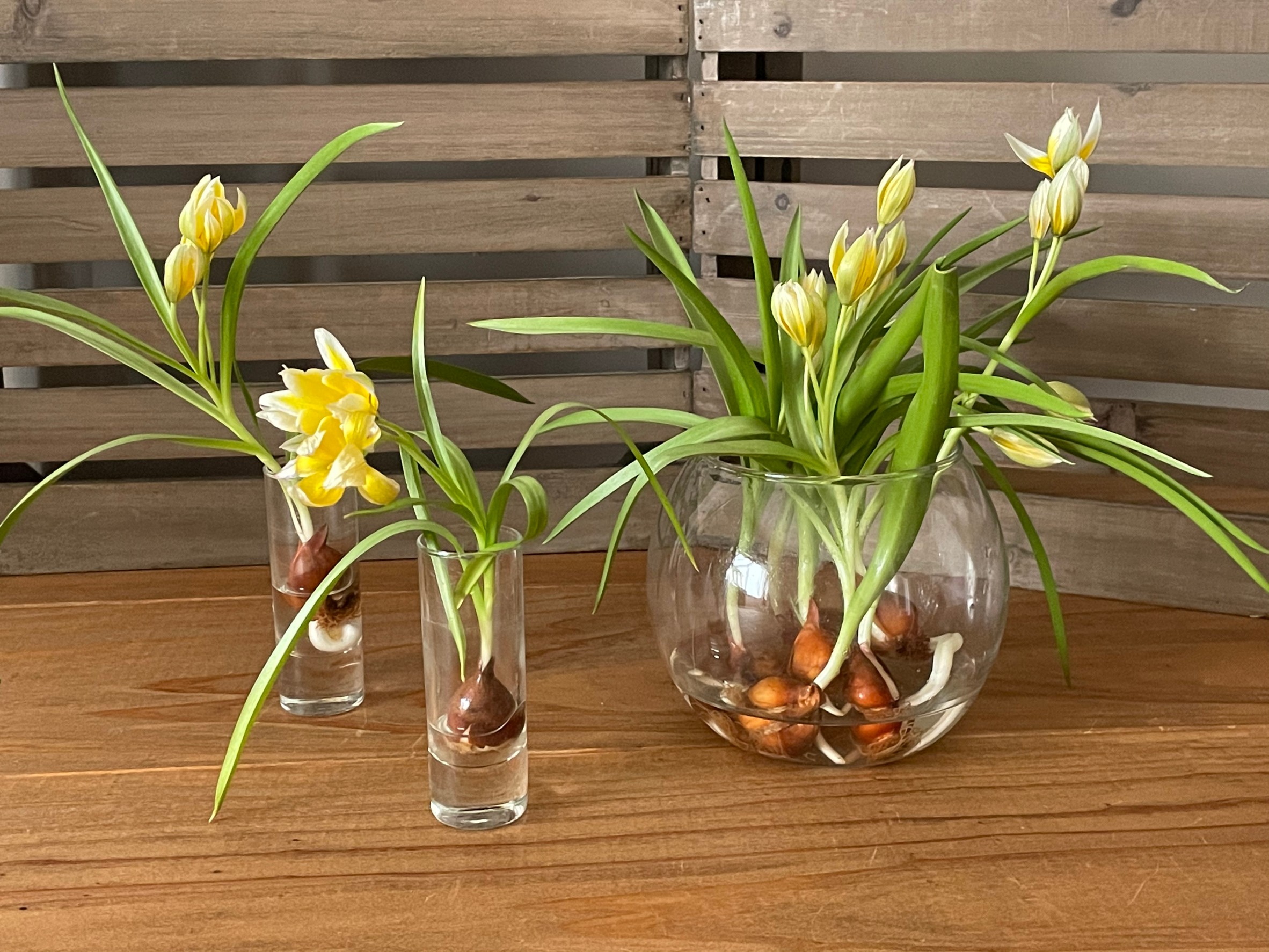 Glass Flower vase デイリーに使えるフラワーベース