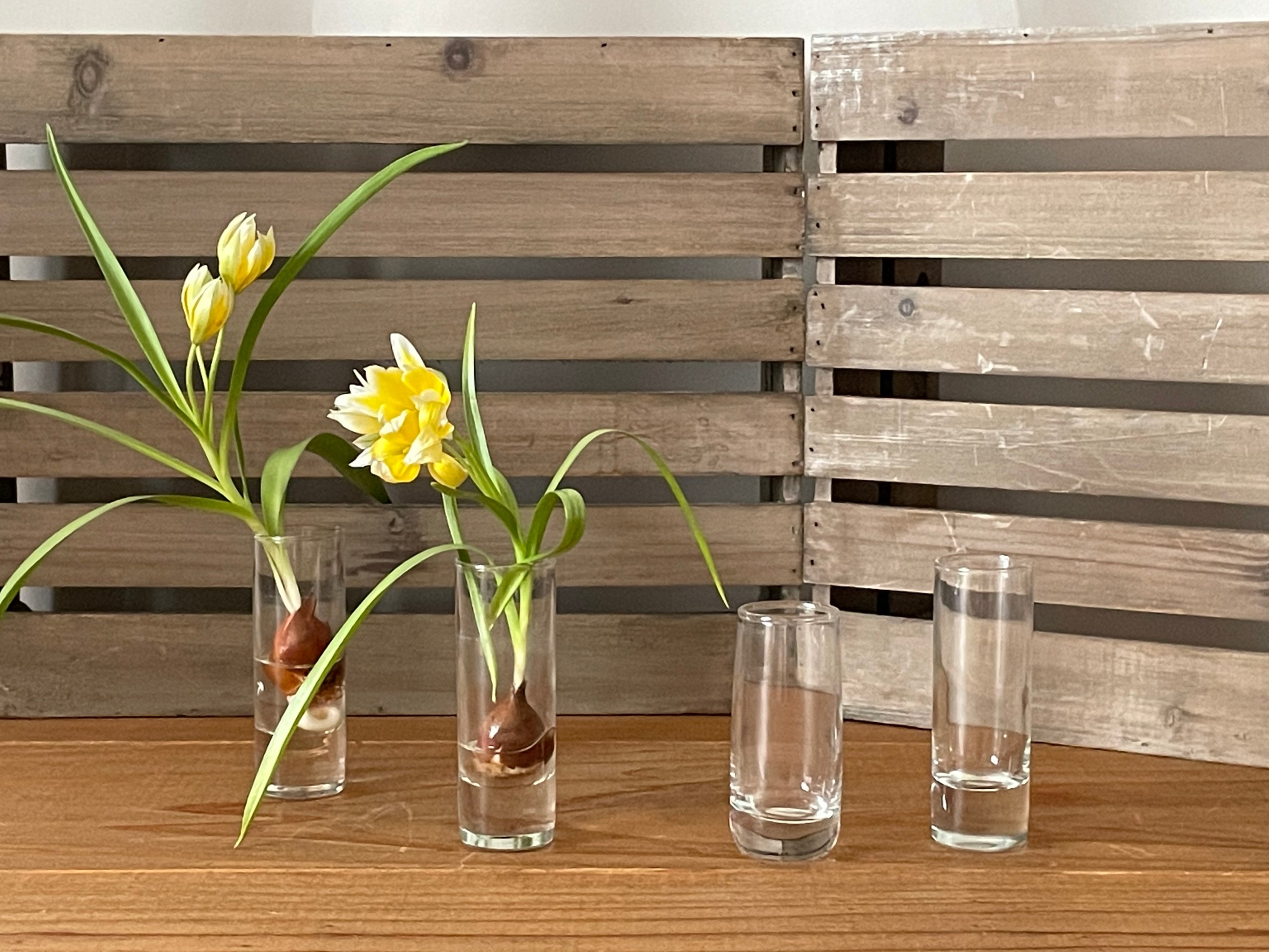 Glass Flower vase デイリーに使えるフラワーベース