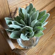 Anchor Hocking Glass Flower Bowl 丸い形のフラワーベース