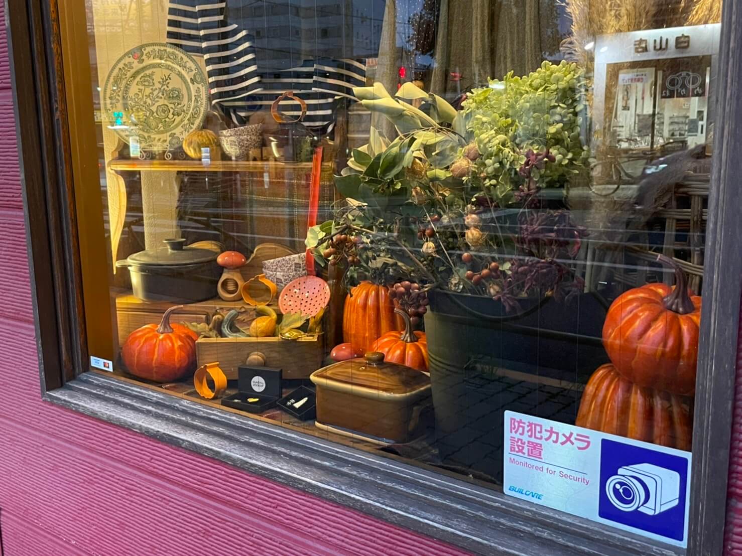 ウィンドウディスプレイ