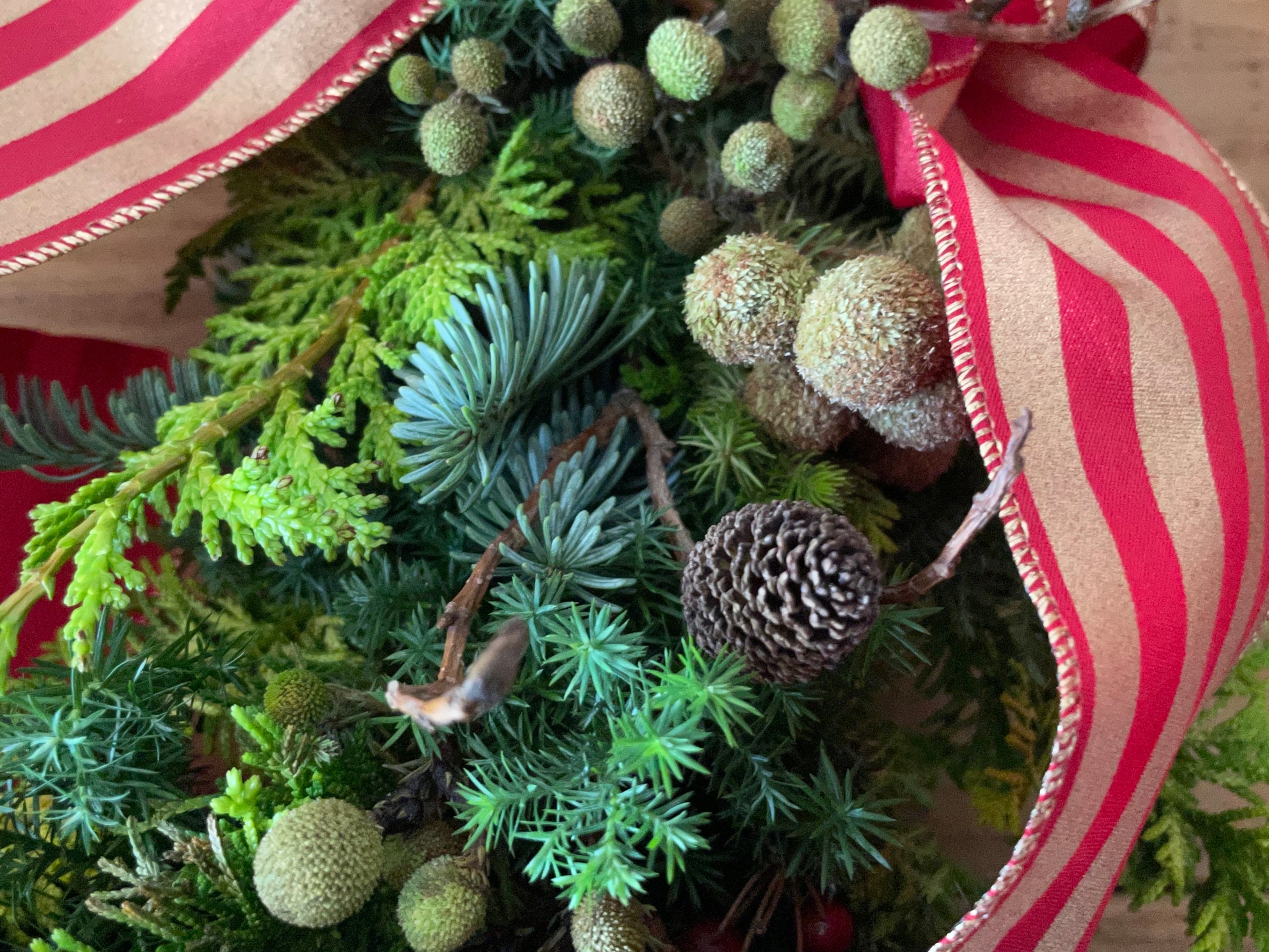 フレッシュリースの販売会