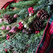 フレッシュリースの販売会