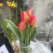 臨時休業のお知らせ