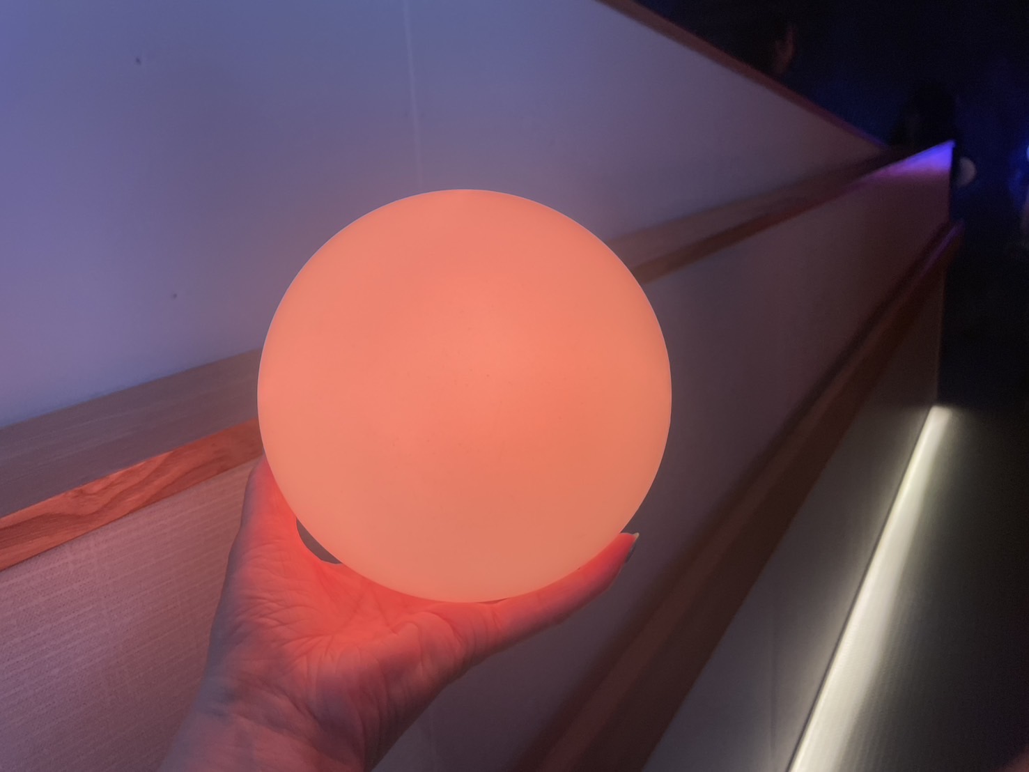 オランダパビリオン