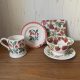 Emma bridgewater New