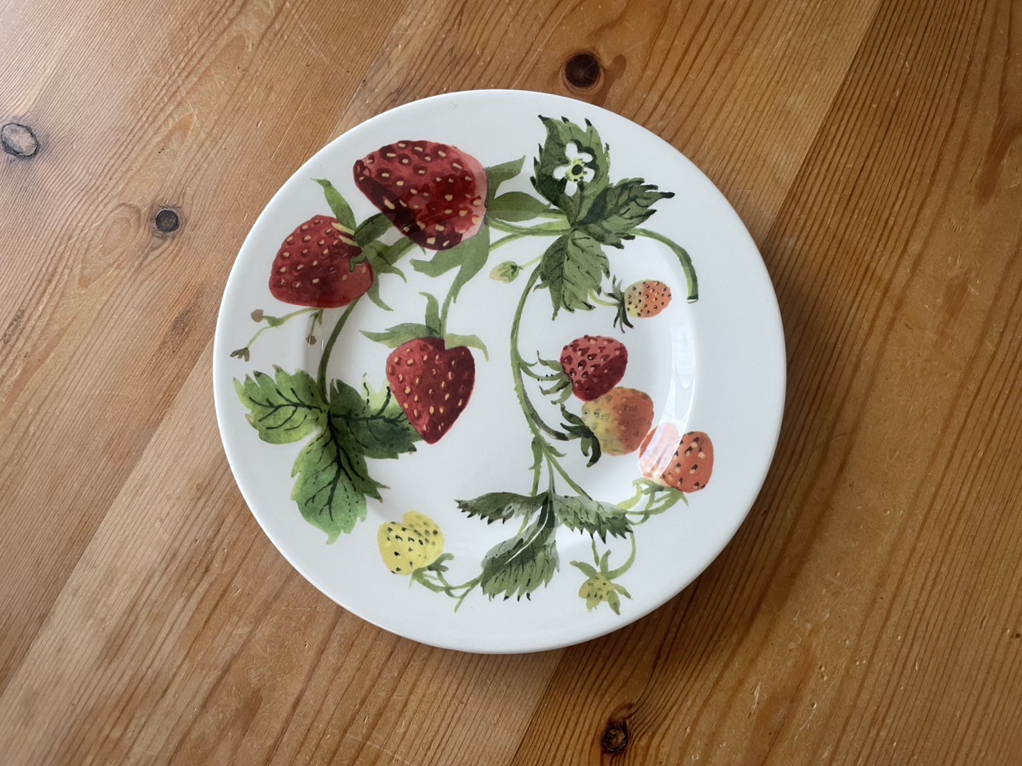 Emma bridgewater New