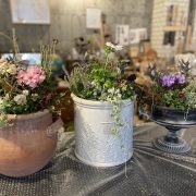 英国式 寄せ植え教室 Persimmon