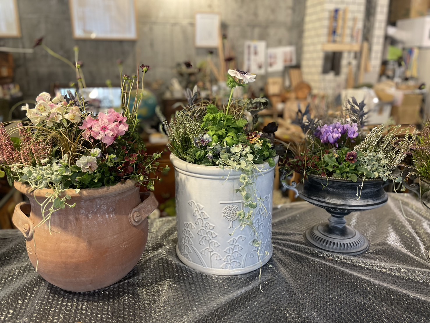 英国式 寄せ植え教室 Persimmon