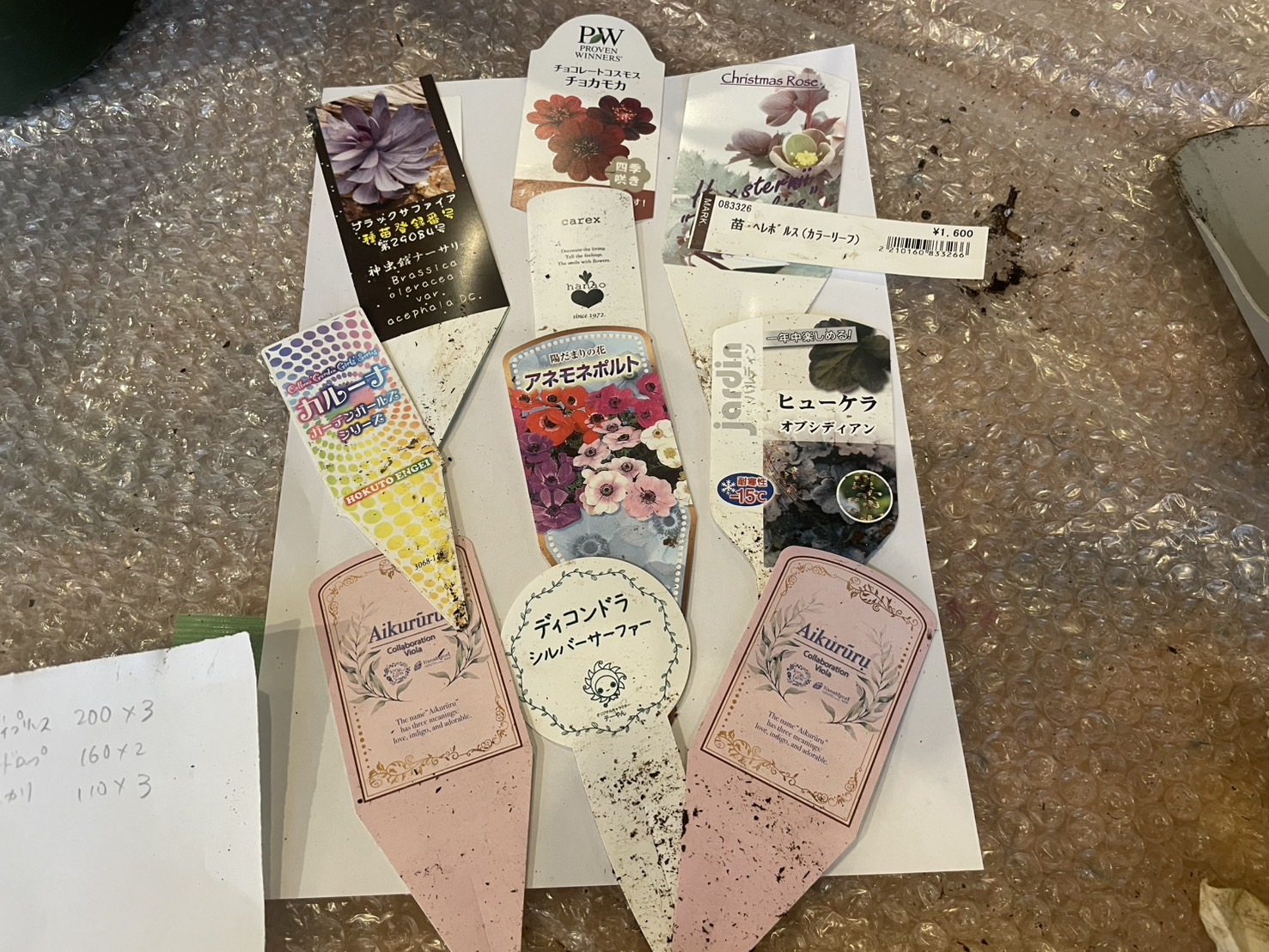 英国式 寄せ植え教室 Persimmon