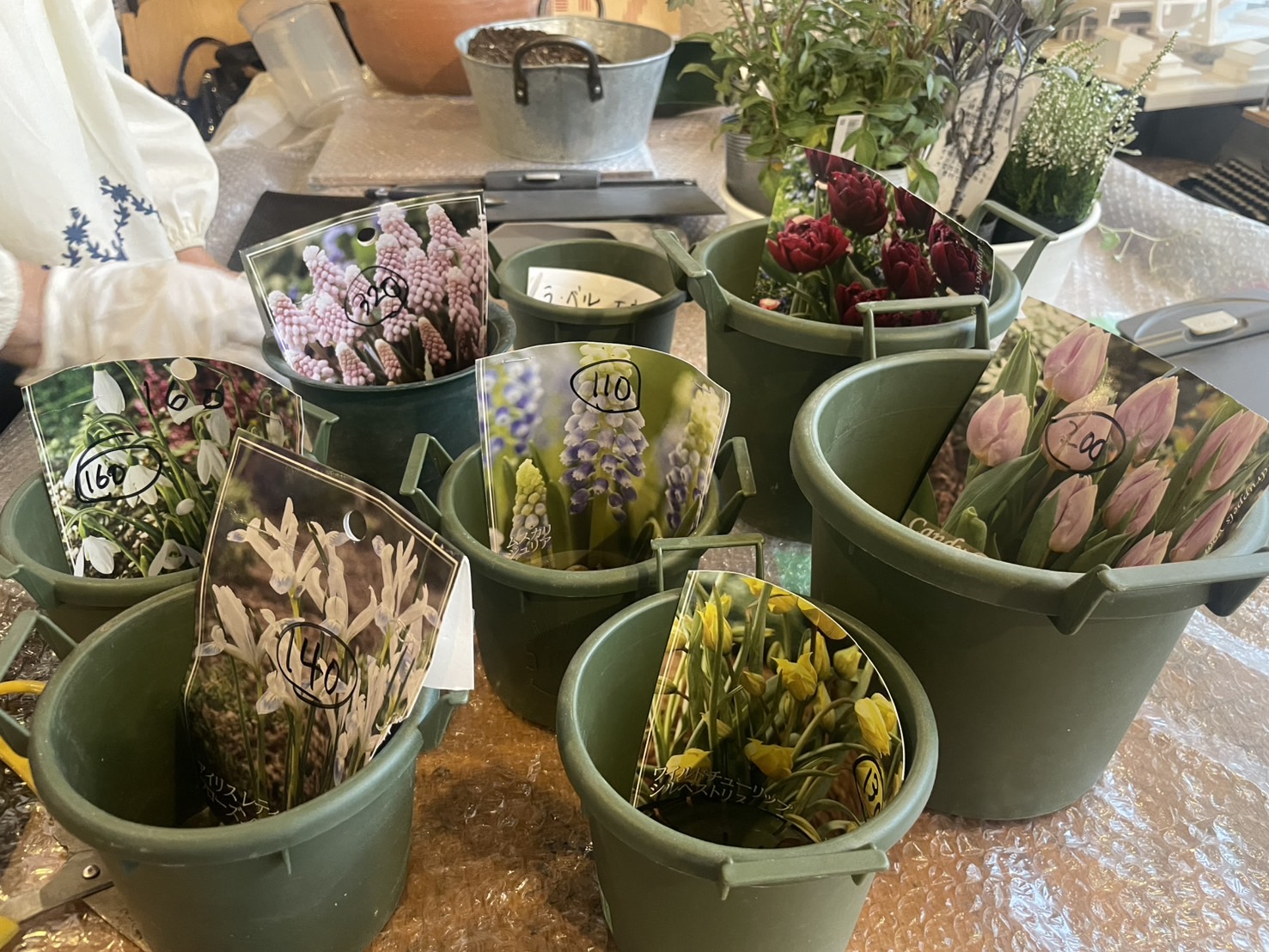 英国式 寄せ植え教室 Persimmon