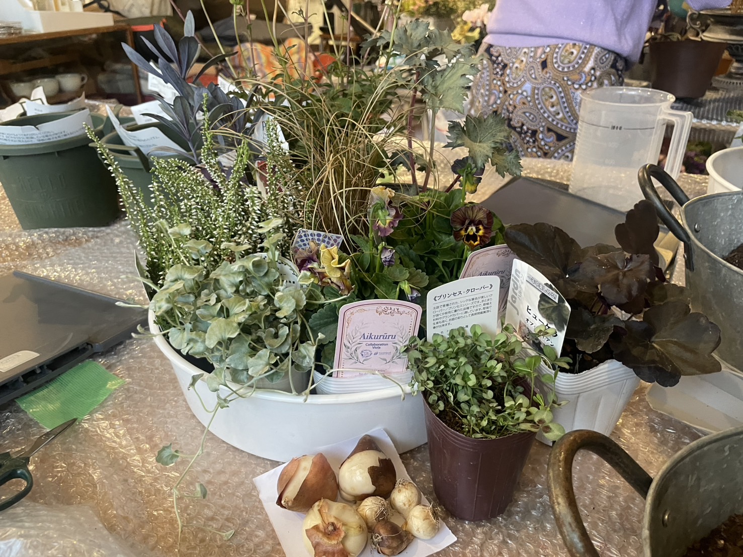 英国式 寄せ植え教室 Persimmon