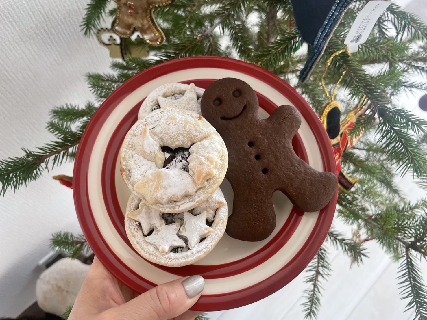 Viola Bake POP UP 2025・12・5/6