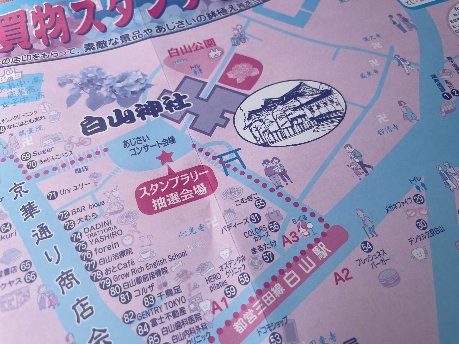 文京あじさいまつり