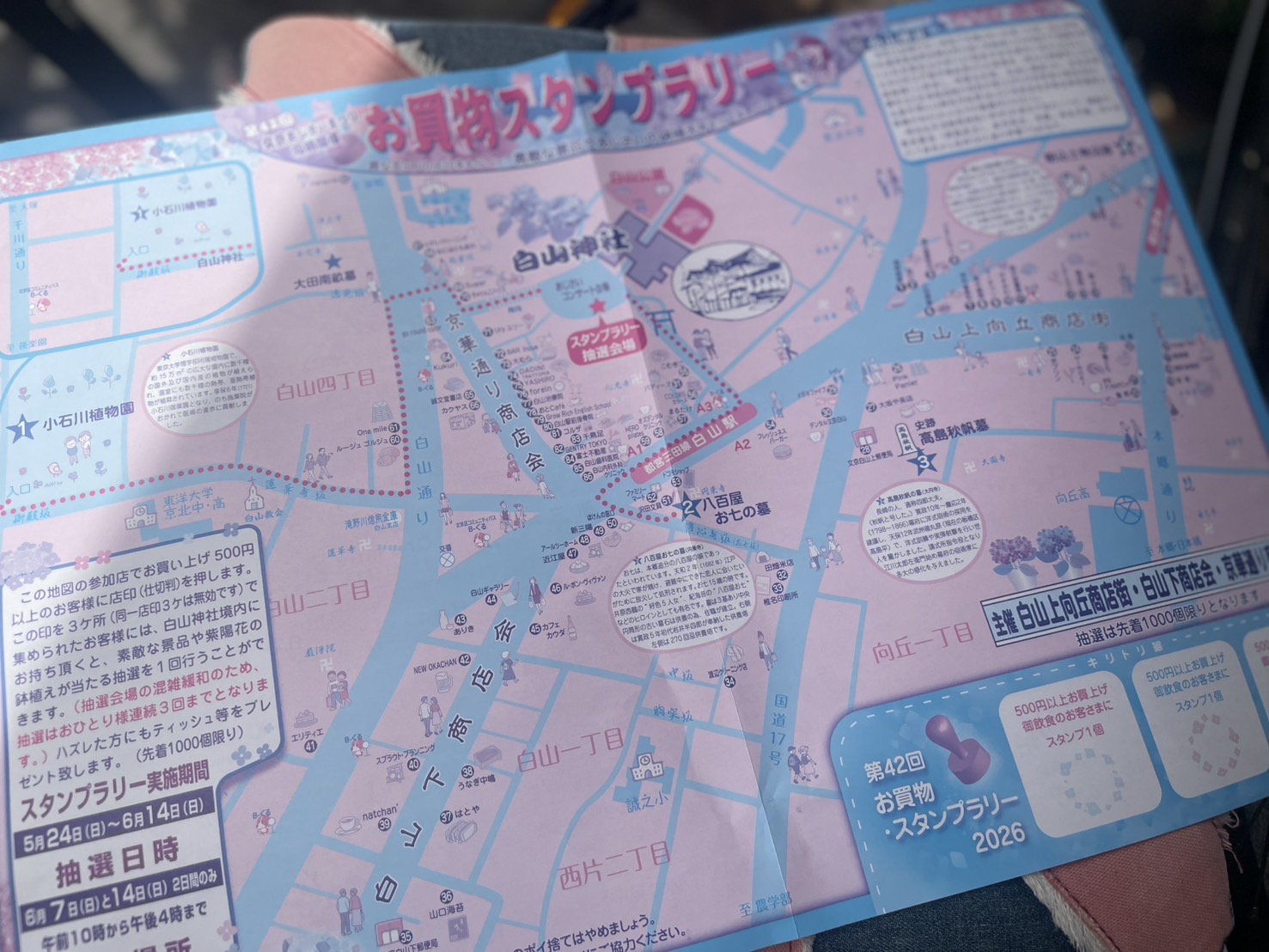 文京あじさいまつり